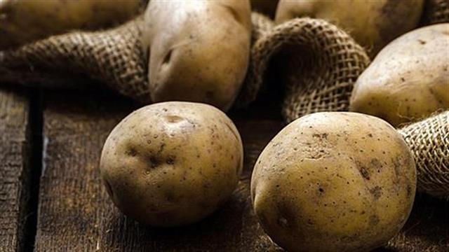 Έρευνα: Όσοι ακολουθούν την παλαιολιθική διατροφή θα πρέπει να τρώνε περισσότερους υδατάνθρακες