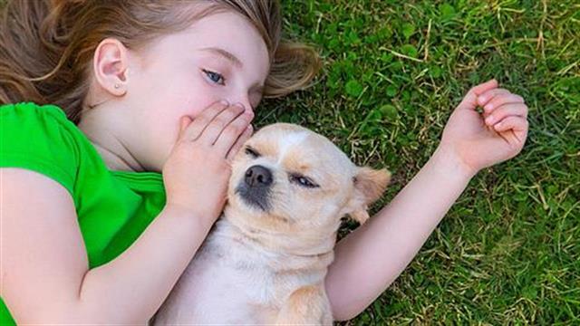 Κατοικίδια και παιδιά: Ποιο ζωάκι να επιλέξω;
