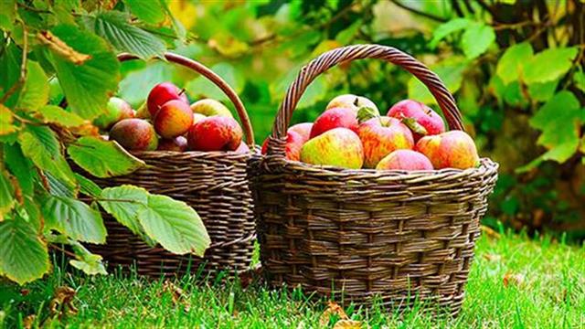 Φθινοπωρινά φρούτα και λαχανικά: Καρπωθείτε τα οφέλη τους