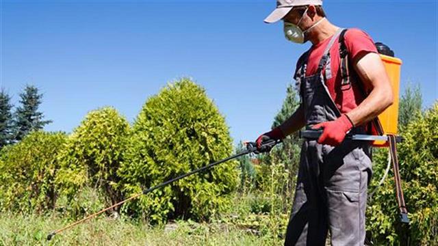 Έρευνα συνδέει τα φυτοφάρμακα με την εμφάνιση διαβήτη
