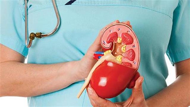 Νεφρικά προβλήματα συνδέονται με αυξημένο κίνδυνο καρκίνου