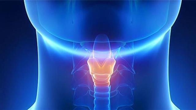 Ερευνητές καλλιέργησαν φωνητικές χορδές στο εργαστήριο