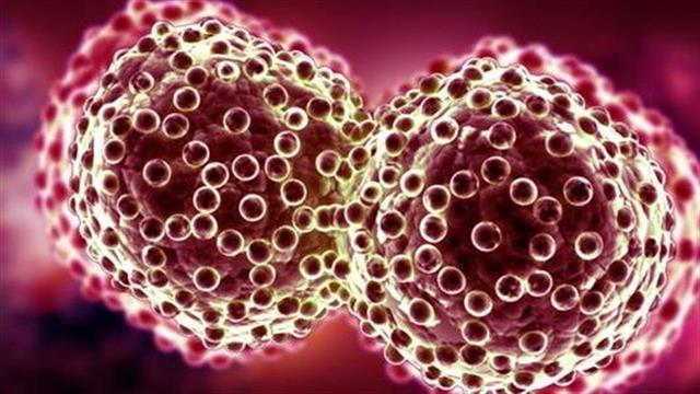 Συνέδριο με θέμα “CANCER POLICY & ECONOMICS : Facilitating access to therapies in times of austerity”