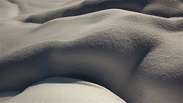 Ταξίδι στο σώμα μέσα από ένα ανθολόγιο άρθρων