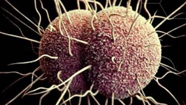 Συνεχής αύξηση των περιστατικών γονόρροιας στην Ευρώπη