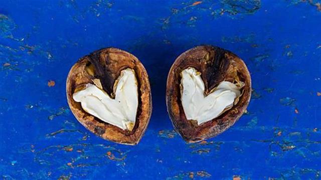 Ποιες είναι οι καλύτερες πρωτεΐνες για την καρδιά μας