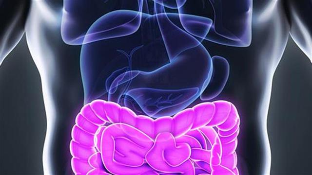 Ενημέρωση για τον καρκίνο του παχέος εντέρου στον Πειραιά