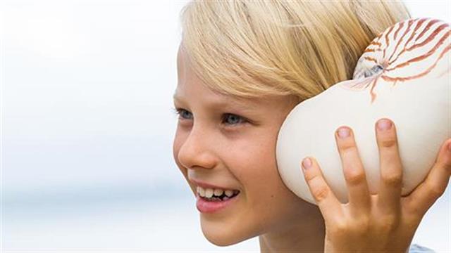 Τα αυτιά και η θάλασσα