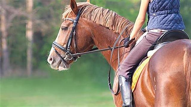 Ιπποθεραπεία: Σχεδιάζονται ενέργειες για να καλύπτεται από τον ΕΟΠΥΥ