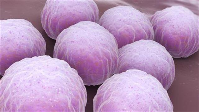 Επιστρέφουν τα σεξουαλικώς μεταδιδόμενα νοσήματα