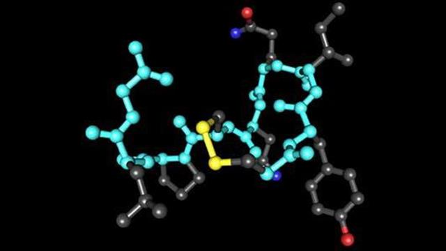 Έρευνα: Χαμηλά επίπεδα ωκυτοκίνης συνδέονται με χαμηλή ενσυναίσθηση