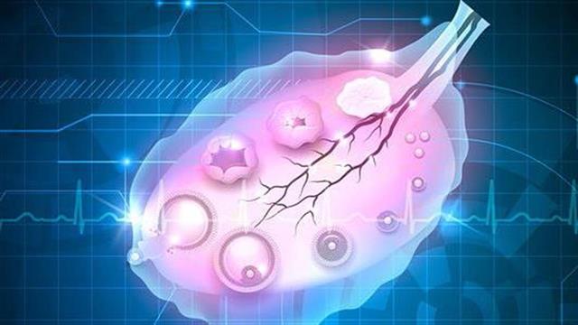 Πρόωρη ωοθηκική ανεπάρκεια: Όταν η γονιμότητα χάνεται νωρίς