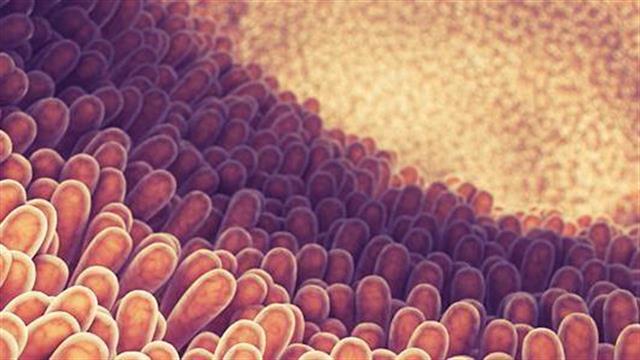 Νόσος του Crohn: Προκαλεί και γνωστική δυσλειτουργία;