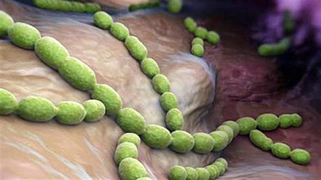 Η διάρροια στο ταξίδι δυναμώνει … τα βακτήρια