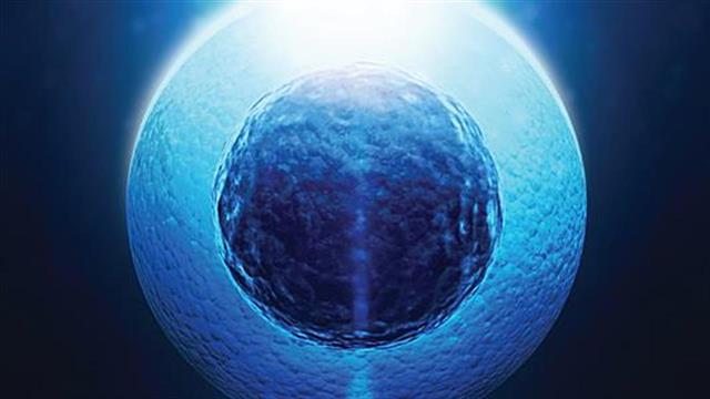 Στη Θεσσαλονίκη η πρώτη επανεμφύτευση κατεψυγμένου ωοθηκικού ιστού