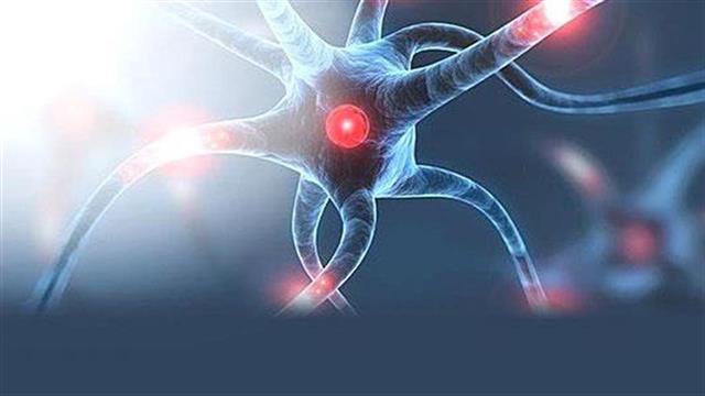 Νέα Σύσταση Διοικητικού Συμβουλίου της ΠΟΑμΣΚΠ