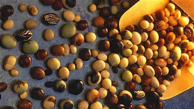 Η σόγια συνδέεται με καλύτερη επιβίωση στον καρκίνο του μαστού