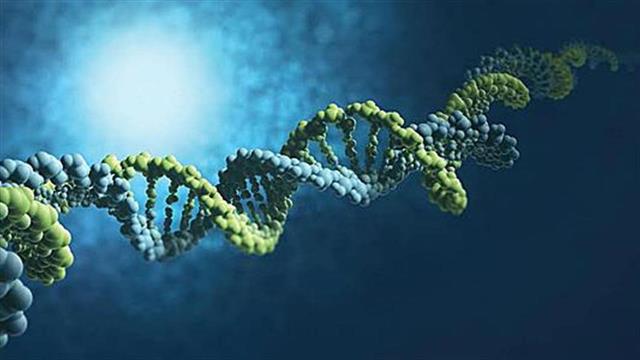 Σημαντική είδηση για το πολλαπλό μυέλωμα, μία ανίατη νόσο