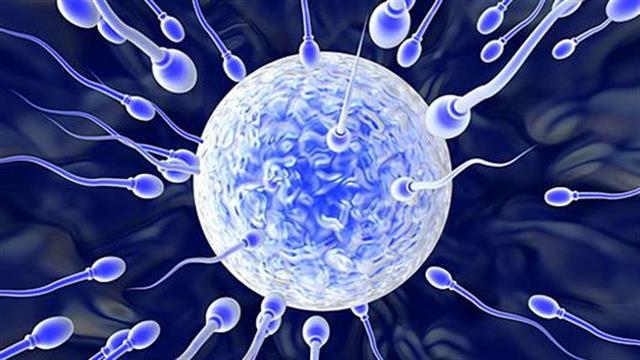 Παρασημοφόρηση του αναπληρωτή Προέδρου της Εθνικής Αρχής Ιατρικώς Υποβοηθούμενης Αναπαραγωγής