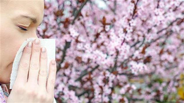 Αλλεργίες της άνοιξης: Πώς θα επιβιώσουμε