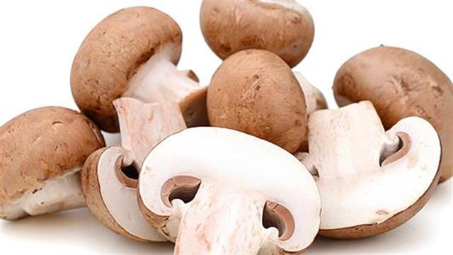 Μανιτάρια: Γιατί πρέπει να τα αγαπήσουμε;