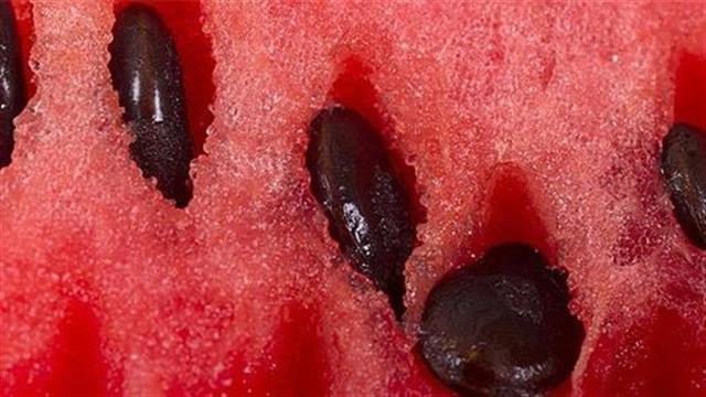 Ποια τρόφιμα βοηθούν στη στυτική δυσλειτουργία