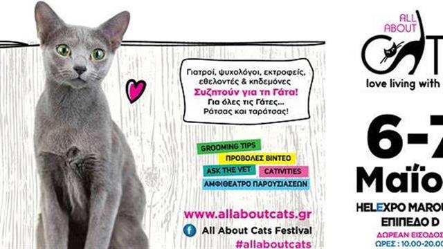 To All About Cats επιστρέφει στην Αθήνα