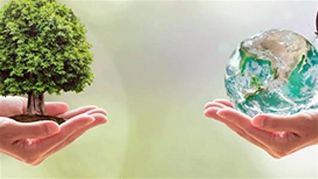 Καινοτομία από το 7ο Πρόγραμμα Πλαίσιο της Ε.Ε  - 3D PRO-ALGAE®