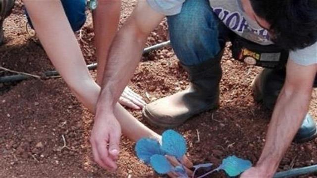 Φυτώρια για το μέλλον νέων παιδιών με αναπηρίες