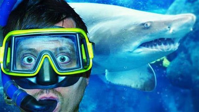 Κρίσεις πανικού το καλοκαίρι