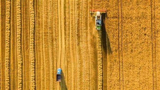 Με την αύξηση των εκπομπών CO2 βλάπτεται η ποιότητα των τροφίμων
