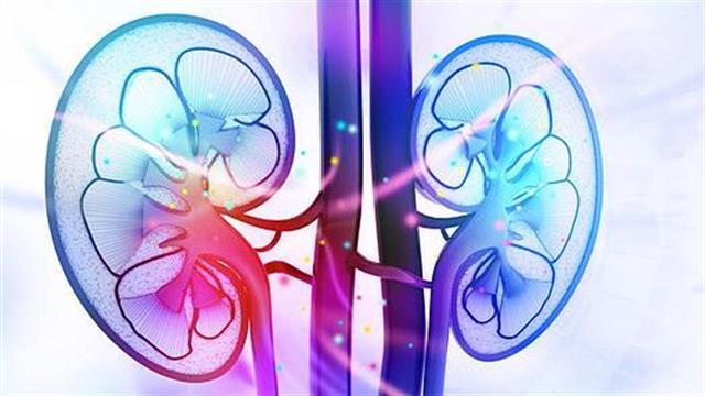 Γιατί τον Αύγουστο κορυφώνονται τα κρούσματα νεφρολιθίασης;