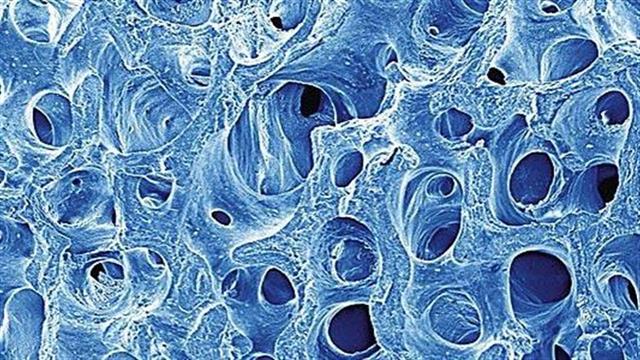 Προηγμένα βιοϋλικά δίνουν λύσεις στην αναγεννητική ιατρική