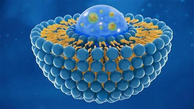 Παγκόσμιο συνέδριο λιποσωμιακής τεχνολογίας στην Ελλάδα