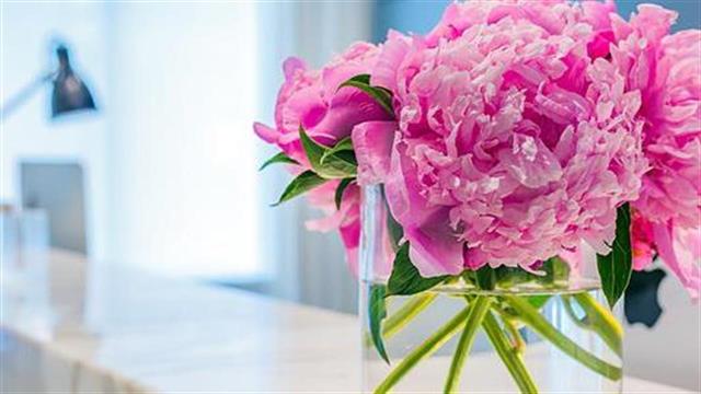 Με βηματισμό χελώνας η αναμόρφωση της νομοθεσίας για τις Ιδιωτικές Κλινικές