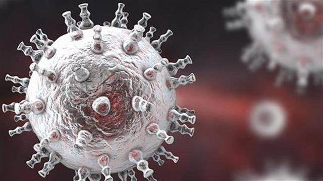 Ημερίδα στον Άγιο Σάββα για τα σαρκώματα