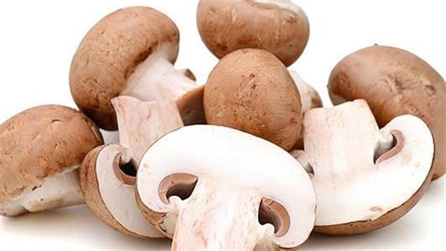 Τα μανιτάρια στο πρωινό βοηθούν στην απώλεια βάρους