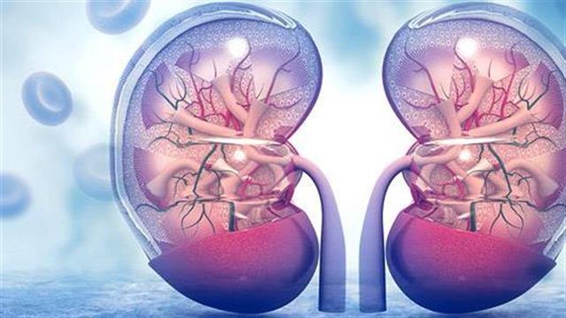 Καρκίνος στα νεφρά: Ποια είναι τα συμπτώματα;