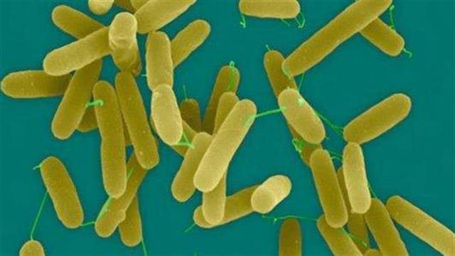 Φάρμακο για την πολλαπλή σκλήρυνση στη μάχη κατά των πολυανθεκτικών μικροβίων