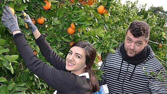 Πορτοκάλια του Γεωπονικού Πανεπιστημίου Αθηνών για τον Κόμβο Αλληλοβοήθειας Πολιτών του Δήμου Αθηναίων