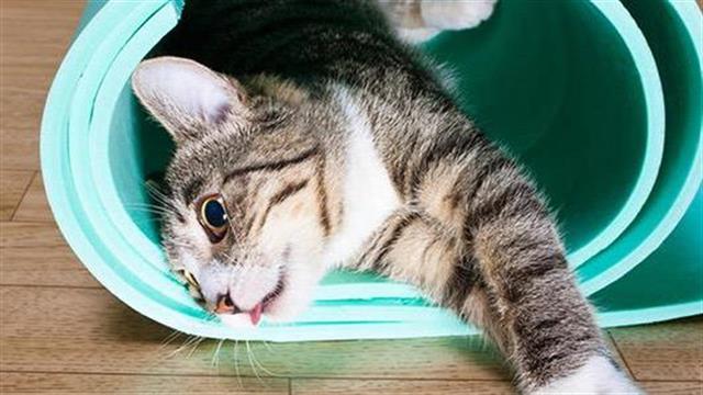 Τα fitness trends που θα δούμε το 2018