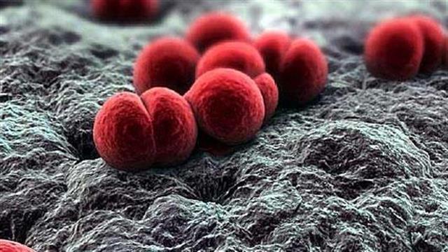 Νέο κρούσμα μηνιγγίτιδας στη Ρόδο