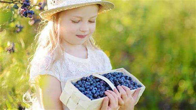 Το πράσινο περιβάλλον ευνοεί την ανάπτυξη του παιδικού εγκεφάλου