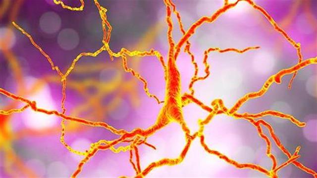 Εντοπίστηκαν γονιδιακές περιοχές που συνδέονται με τη σχιζοφρένεια