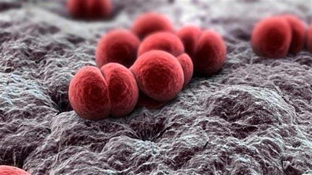 Mηνιγγίτιδα: Η νόσος που το άκουσμα της τρομοκρατεί γονείς και παιδιάτρους