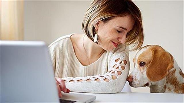 Οι σκύλοι βοηθούν στη μείωση του στρες των φοιτητών