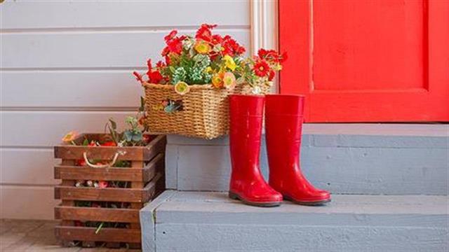 Πώς θα αποφύγουμε βλάβες στην υγεία από μικροοργανισμούς