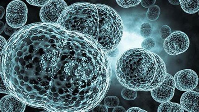 Εκστρατεία κατά της μηνιγγίτιδας, ‘Mums Vs Meningitis’