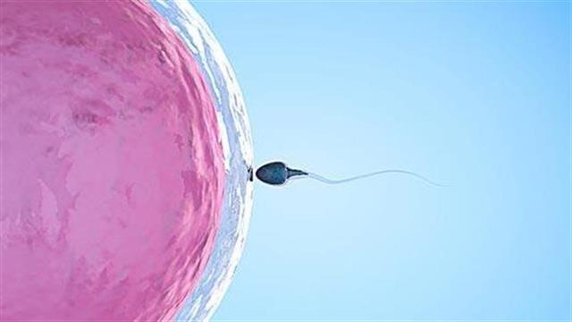 “Ναι” στην εξωσωματική σε παχύσαρκες γυναίκες με σύνδρομο πολυκυστικών ωοθηκών