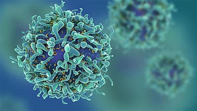 Η Novartis σχεδιάζει να ξεκινήσει την παραγωγή αντινεοπλασματικού φαρμάκου στη Ρωσία